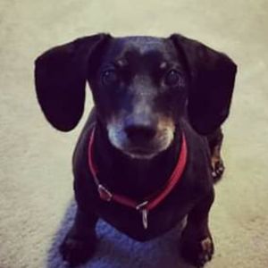 Meet your Posher, Jenni